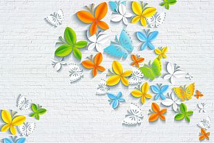 Бабочки цветы2153