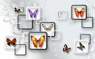 Бабочки цветы2147