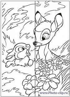 Рисунок-5337